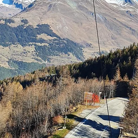Les 3 Marmottes - Les Arolles *